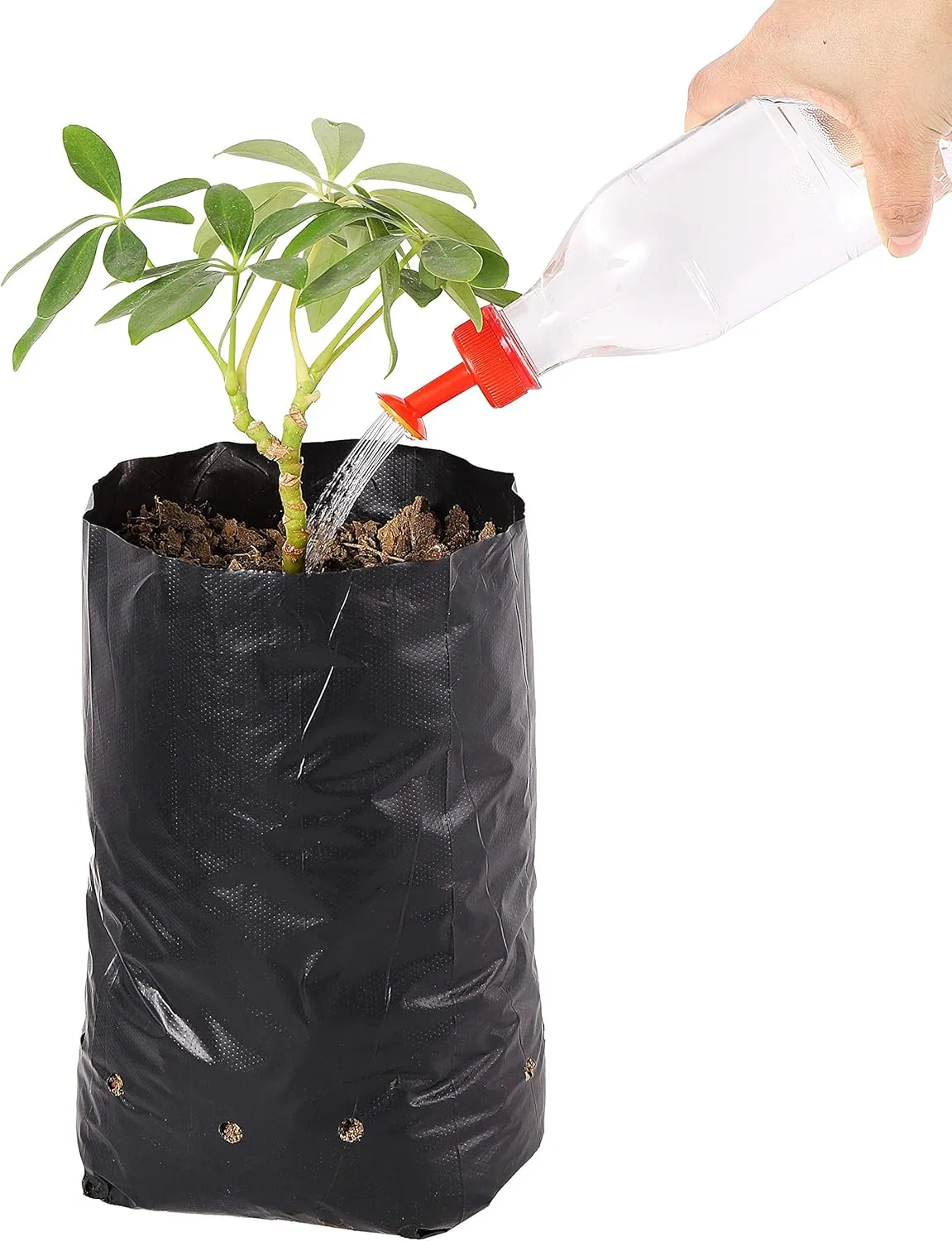 100 Pcs 9.5x3.9 Inches PE Seedling Bag Plastic Plants Nursery Grow Bags Nursing Growing Pouch Tree Seedling Cup Bonsai Plant Bag with 30 Pcs Labels and 2 Pcs Mini Hand Portable Watering Sprinkler