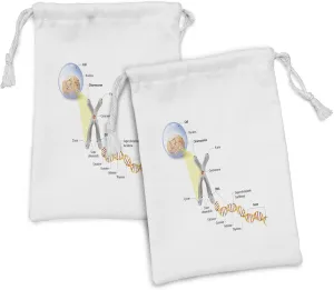 Ambesonne Science Fabric Pouch Set of 2, Cell Chromosome DNA Gene Genome Study Double Helix Evolution Science Research, Small Drawstring Bag for Toiletries Masks and Favors, 9" x 6", Multicolor