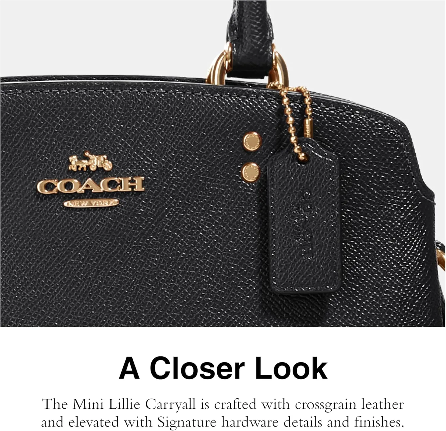 Coach Unisex Mini Lillie Carryall