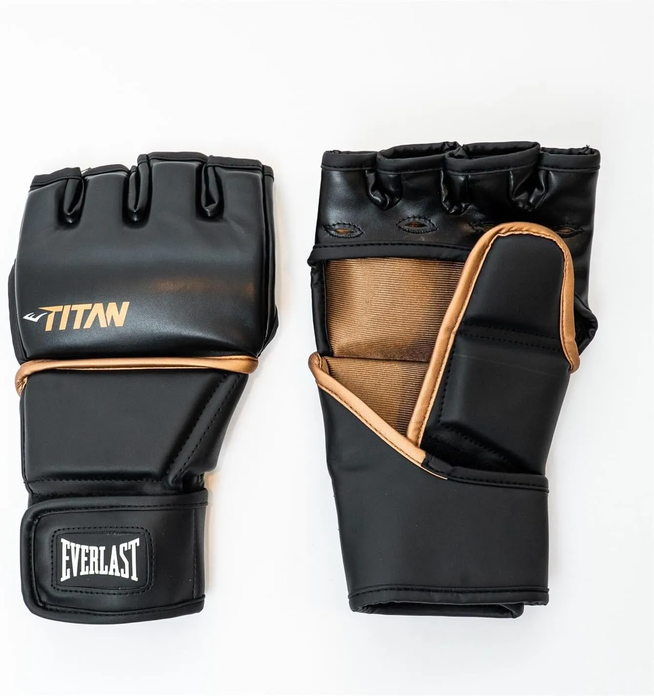 EverlastBoxing Gloves