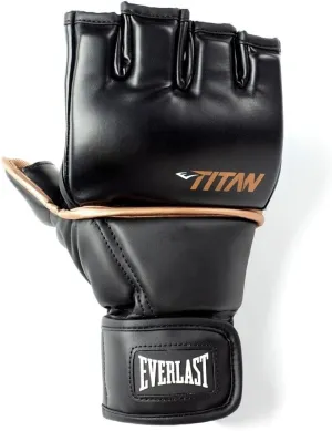 EverlastBoxing Gloves