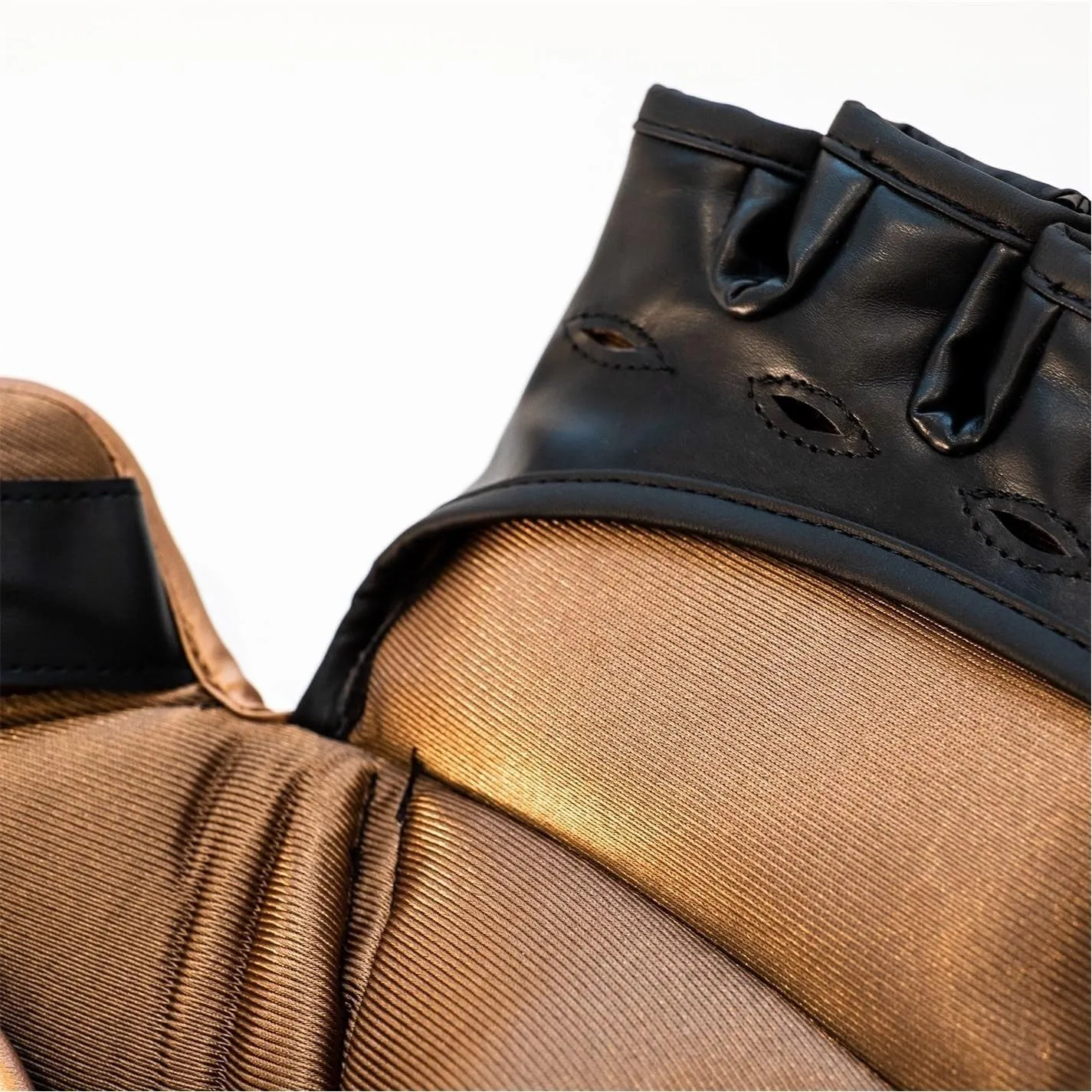 EverlastBoxing Gloves