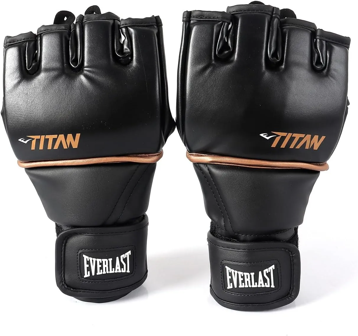 EverlastBoxing Gloves