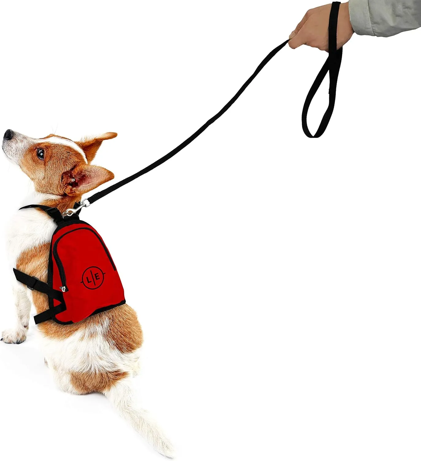 Littlearth NFL Pet Mini Backpack - Pet Apparel - Pet Accessories - for Dogs and Cats, Team Color