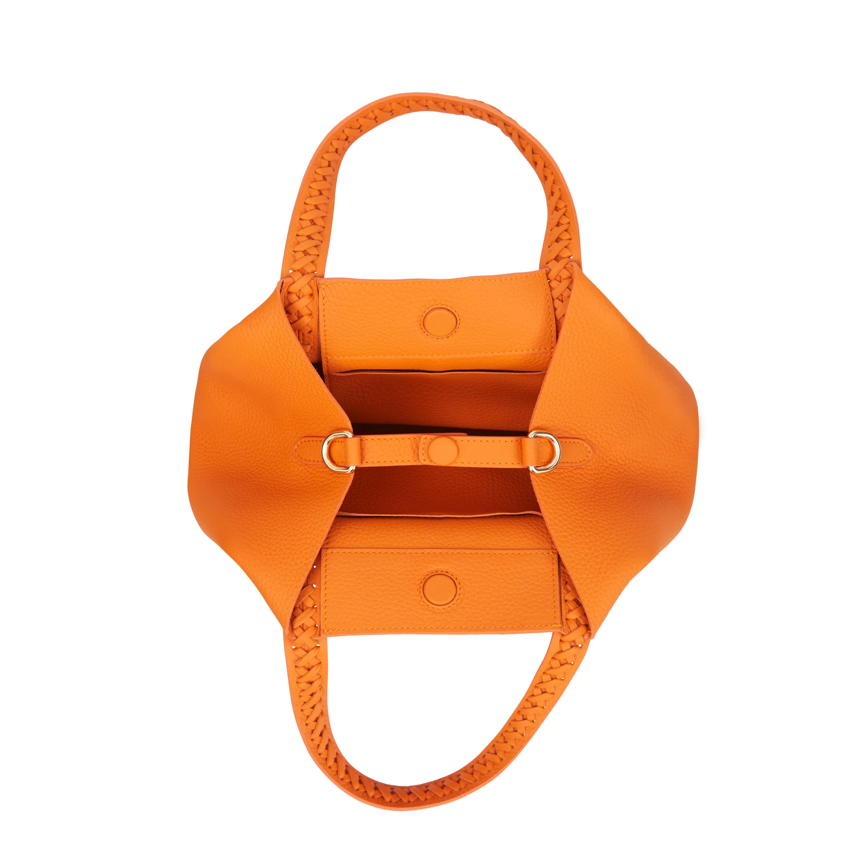 Micro Hemithea - Orange