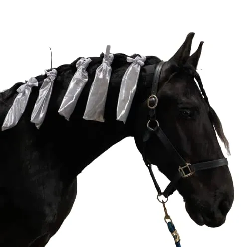Tail bag for Horses, Tail Bag, Horse tail bag, Mini Tail bag, Mane Tail Bag Laura Hall P&Design Tail bag (Mane) (Horse) tail bag (Pony Tail Bag) Drama King (Horse Tail Bag)