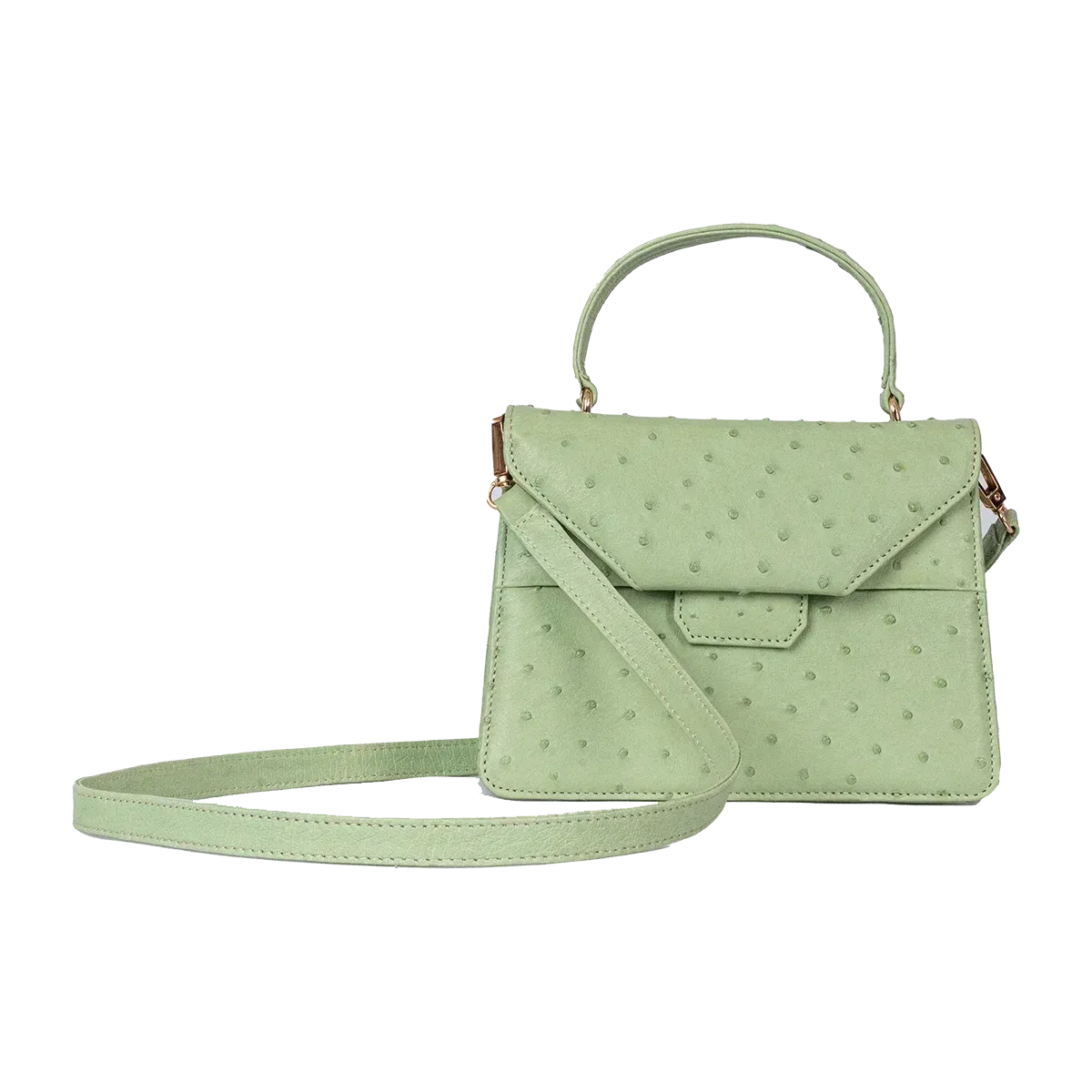 The Petite Betty An in Ostrich