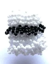 Wedding Charleston Brooch Bag in White with a splash of black fun and quirky C & G Pattern